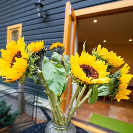 펜션 1 Bed In Skelwith Bridge Oc-Lr159 엘터워터